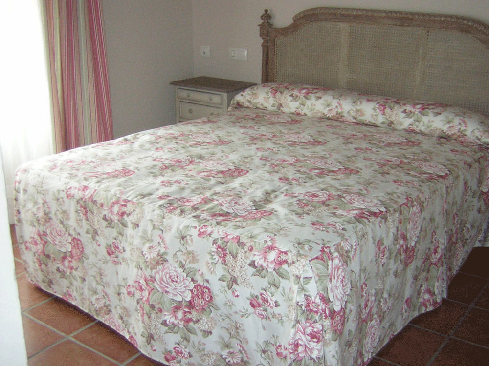 拉卡松纳德多尼亚佩特拉酒店 Villarmentero de Campos 外观 照片